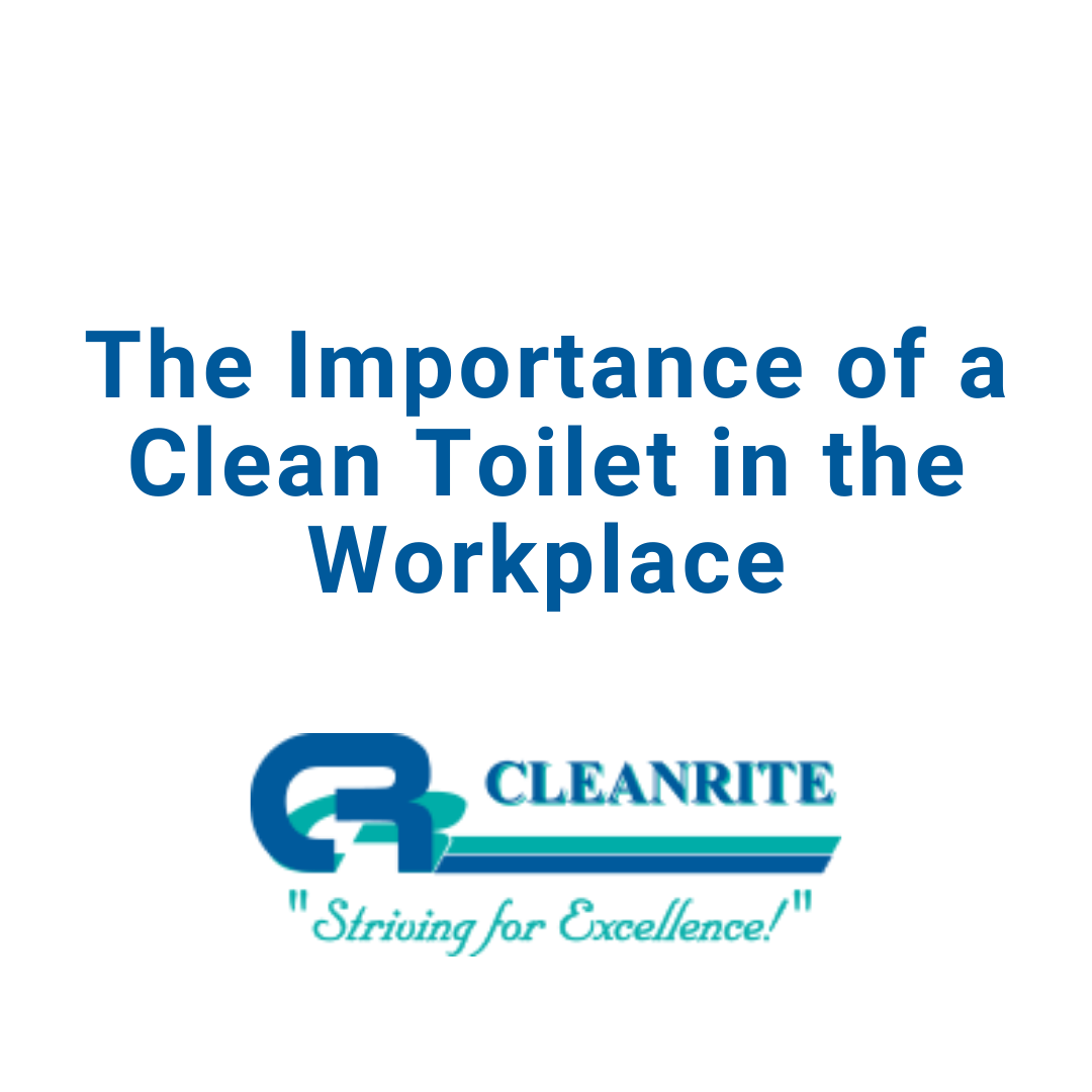 The Importance of a Clean Toilet